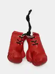 Брелок в машину «Перчатки Everlast»
