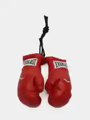 Брелок в машину «Перчатки Everlast»