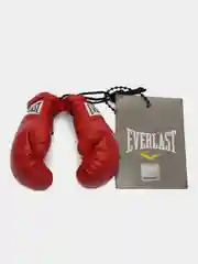 Брелок в машину «Перчатки Everlast»