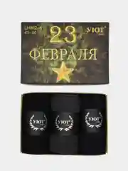 Носки подарочные мужские антибактериальные дезодорированные в коробке 3 шт