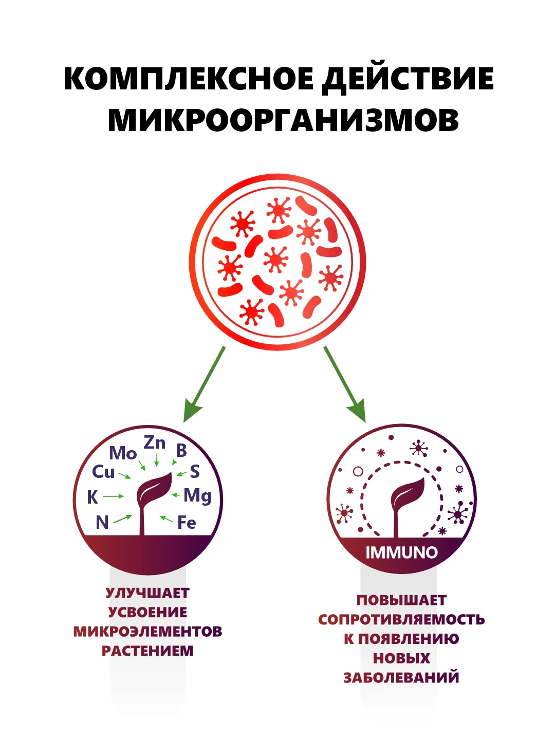 Крокет Эволют удобрение от фазы цветения до плодоношения