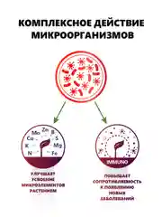 Крокет Эволют удобрение от фазы цветения до плодоношения