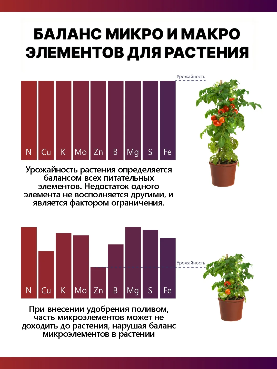 Крокет Эволют удобрение от фазы цветения до плодоношения