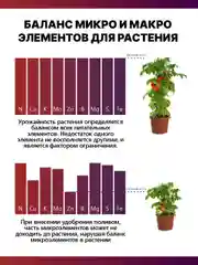 Крокет Эволют удобрение от фазы цветения до плодоношения