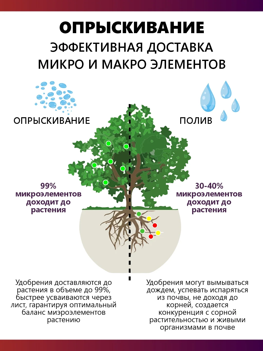 Крокет Эволют удобрение от фазы цветения до плодоношения