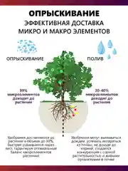 Крокет Эволют удобрение от фазы цветения до плодоношения