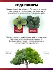 Крокет Эволют удобрение от фазы цветения до плодоношения
