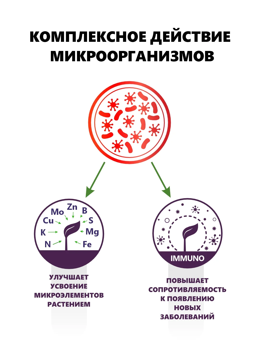 Крокет Калибор, удобрение для критических фаз развития