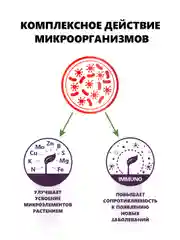 Крокет Калибор, удобрение для критических фаз развития