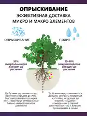 Крокет Калибор, удобрение для критических фаз развития