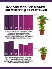 Крокет Калибор, удобрение для критических фаз развития