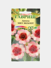 Лапчатка Мисс Вильмот (семена)