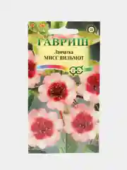 Лапчатка Мисс Вильмот (семена)