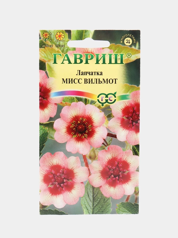 Лапчатка Мисс Вильмот (семена)