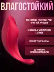 Вибратор, Клиторальный вибратор, Вибротрусики/Вибровкладка в трусики, с пультом управления