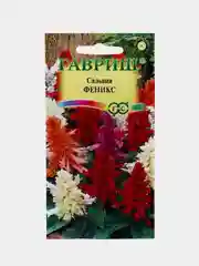 Сальвия Феникс (семена,цветы)