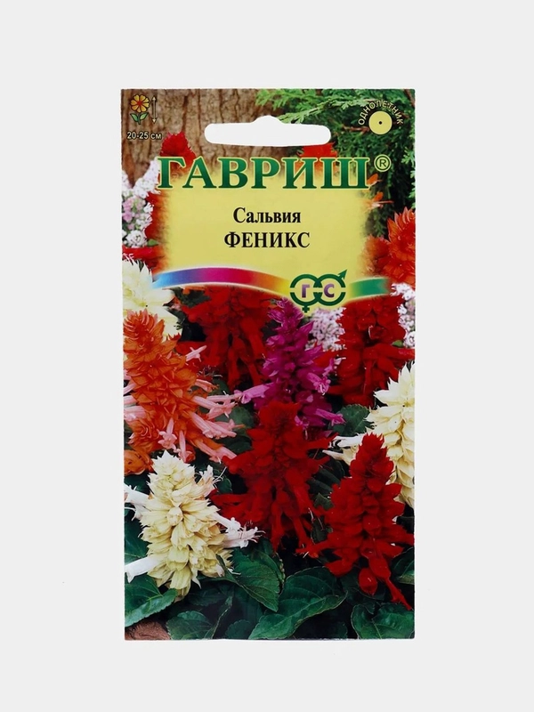 Сальвия Феникс (семена,цветы)