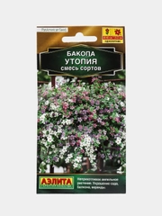 Бакопа Утопия (семена,цветы)