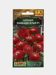 Цинния Ламбада алая (семена,цветы)