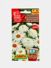 Хризантема Балконная махровая снежинка (семена,цветы)