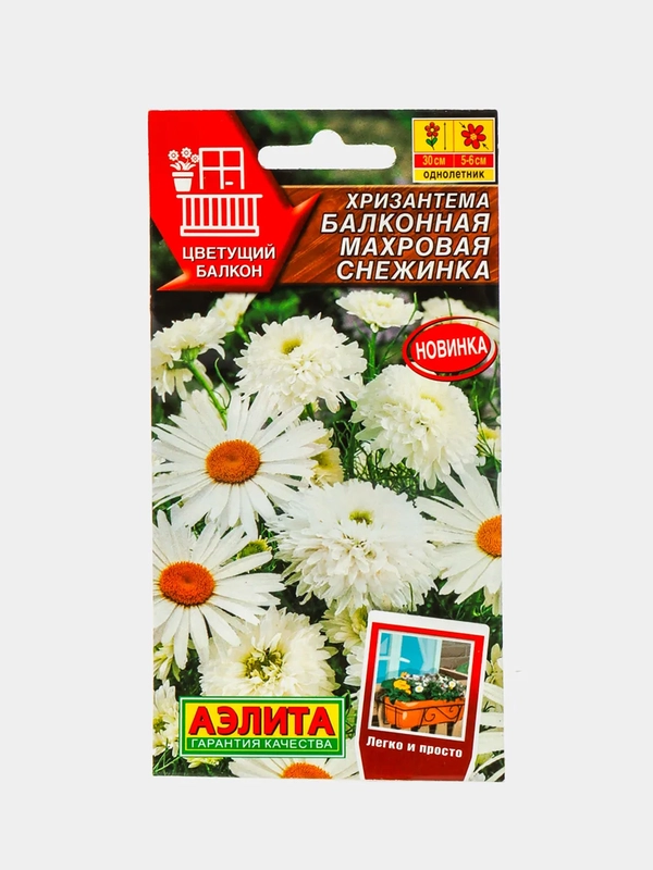 Хризантема Балконная махровая снежинка (семена,цветы)