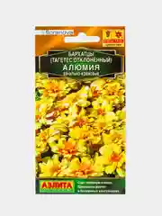 Бархатцы Алюмия Ванильно кремовые (семена,цветы)
