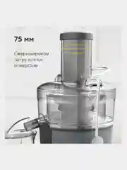 Серый соковыжималка центробежная BQ J1008, ДЛЯ МЯГКИХ ЯГОД И ТВЁРДЫХ ПЛОДОВ, 2 СКОРОСТИ