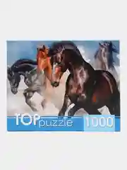 Ледяной пазлы, 1000 элементов