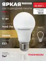 Лампочка светодиодная THOMSON TH-B2011 17 Вт, E27, А65, груша, 3000K теплый белый свет