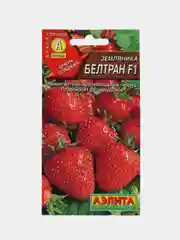 Семена Земляника "Белтран"