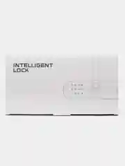 Умный дверной замок Ps-Link HR01 WIFI/датчик отпечатка пальца/управление через приложение