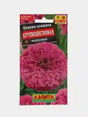 Семена цветов Цинния "Крупноцветковая пурпурная"