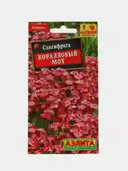 Семена саксифрага "Коралловый мох"