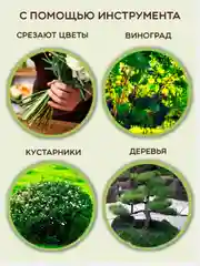 Секатор для сада и огорода