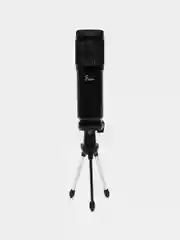 Микрофон конденсаторный USB Foix BM-828