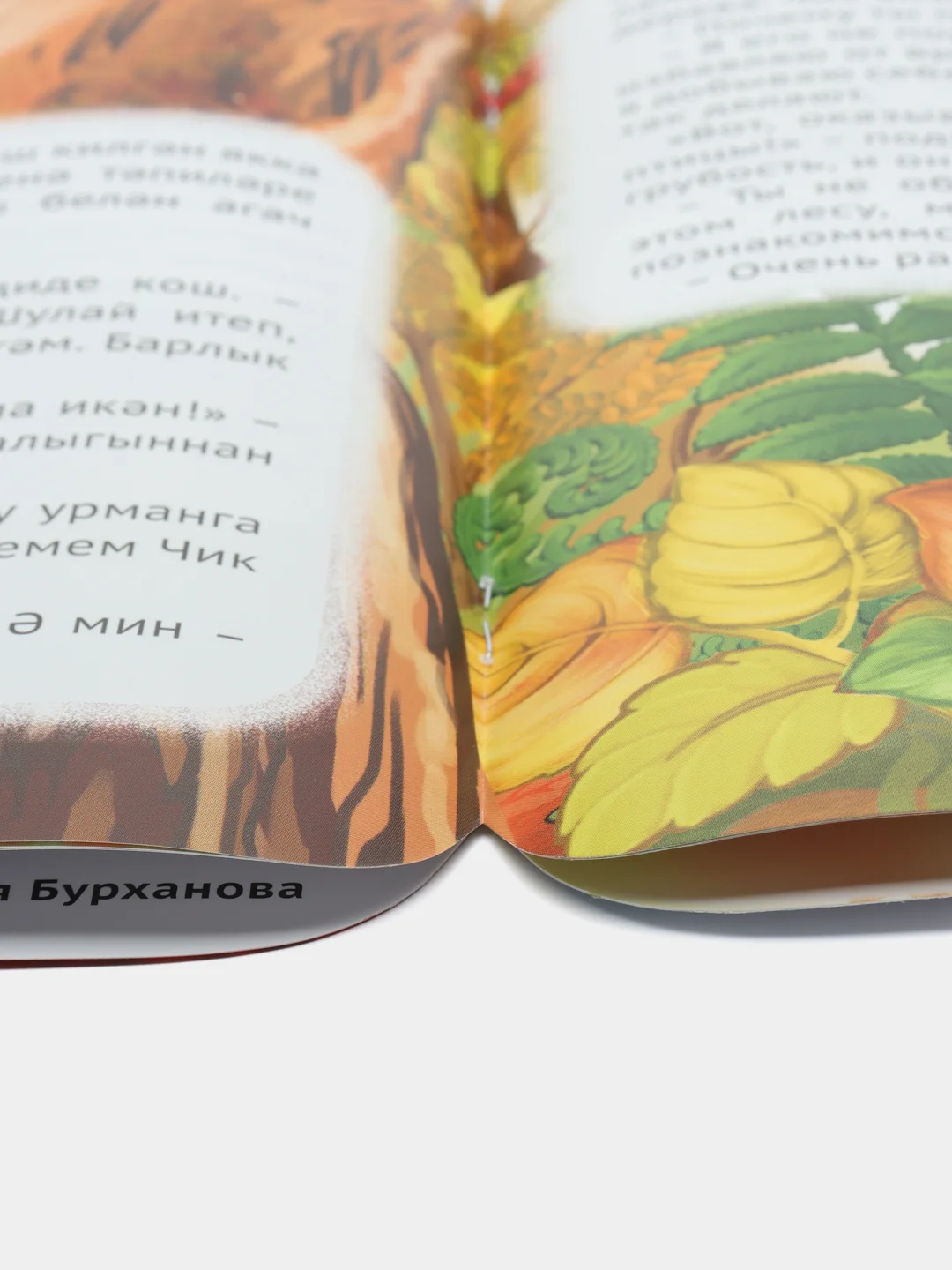 Сказка на татарском и русском языках. Озорной попугай Чик