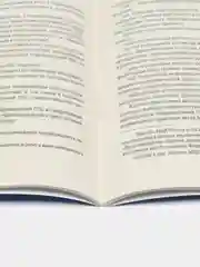 Приказ МВД России Об утверждении Наставления об организации служебной деятельности строев
