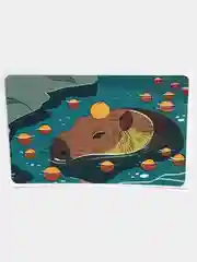Морской наклейка на банковскую карту Мемная 12 видов горизонатальная