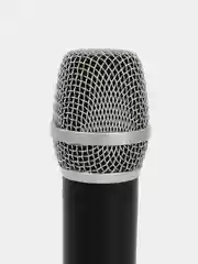 Вокальная радиосистема PRO2-M 2 ручных передатчика, LAudio