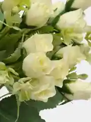 Белый розы искусственные цветы