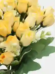 Манго розы искусственные цветы