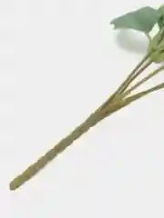 Молочный розы искусственные цветы