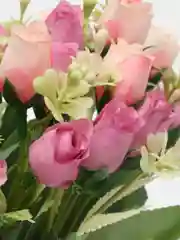 Розовый розы искусственные цветы