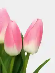 Конфетный искусственные цветы Тюльпаны