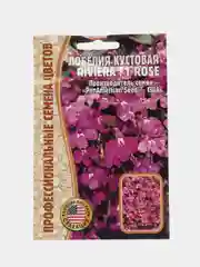 Лобелия кустовая Riviera Rose F1 (семена,цветы)