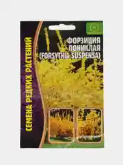 Форзиция пониклая (семена,цветы)