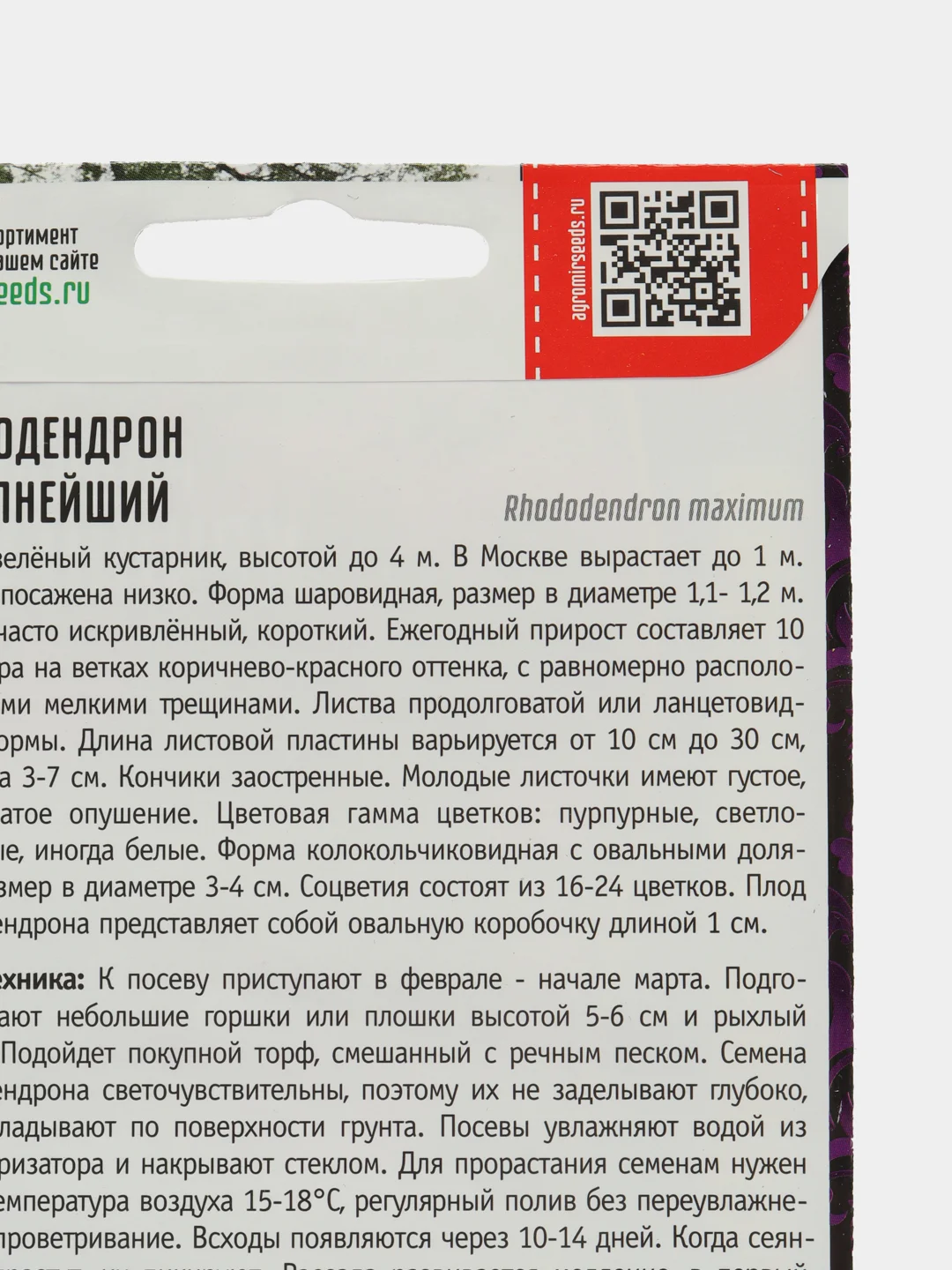 Рододендрон Крупнейший (семена)