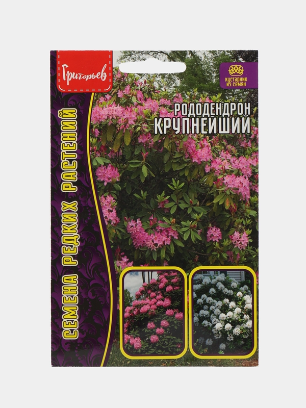 Рододендрон Крупнейший (семена)
