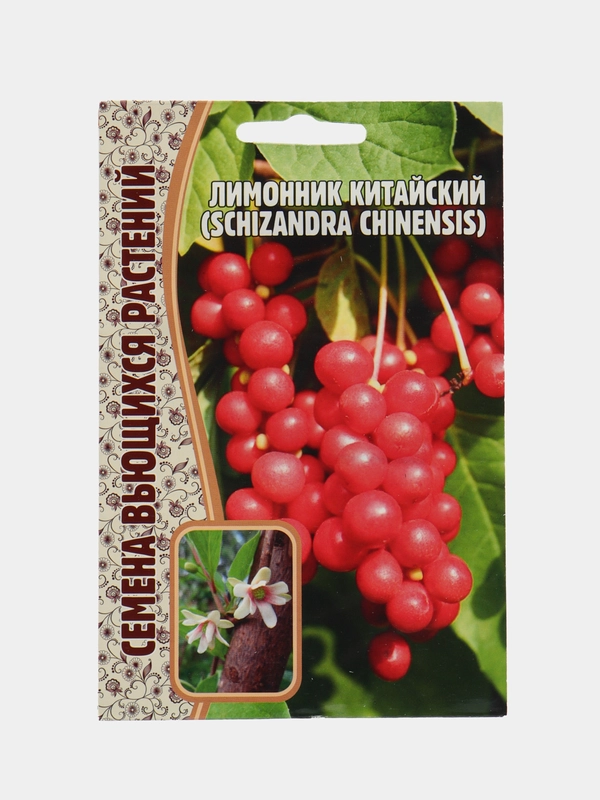 Лимонник Китайский (семена)