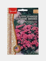 Флокс друммонда Обещание Лиловое (семена,цветы)